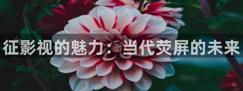 黑螞蟻影業有限公司：征影視的魅力：當代熒屏的未來